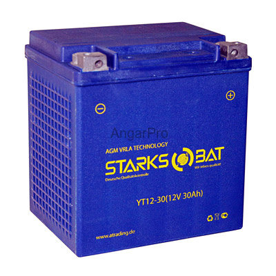 Аккумулятор для снегохода Starksbat YT 12-30GEL
